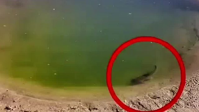 方向不对 付出百倍努力