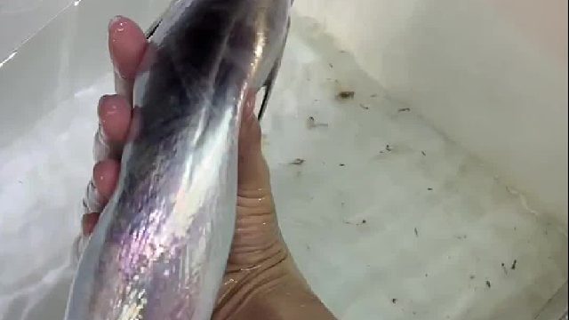 记住这一点，真的很重要