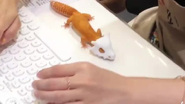 脾气真有这么好吗？到底谁在养啊！