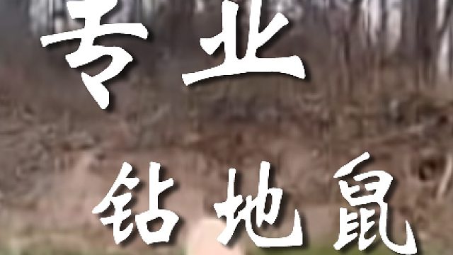 兄弟你不简单啊你