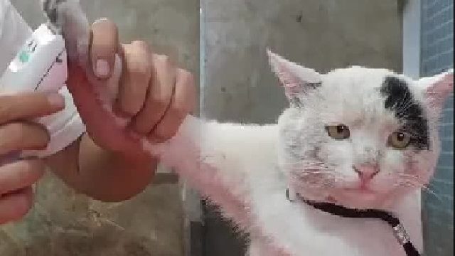 “你这样还让我怎么要饭”