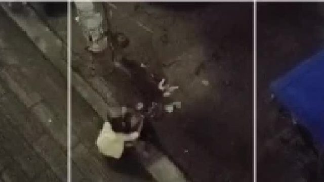 狗子：哭哭哭……烦死了