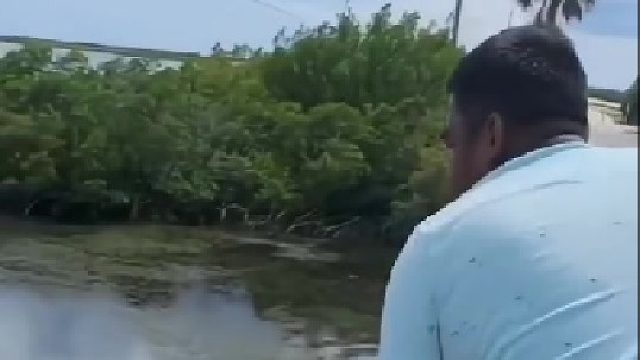 完了，大黄要挂