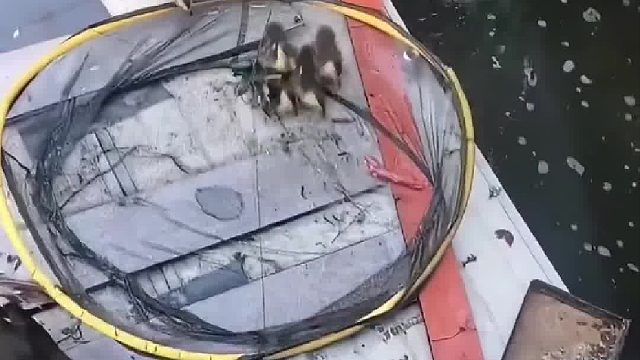 鸭妈妈当年我的眼光不错，这男人能处，有责任心，顾家。