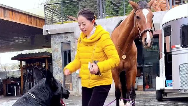 有人说动物很脏，你们觉得呢？