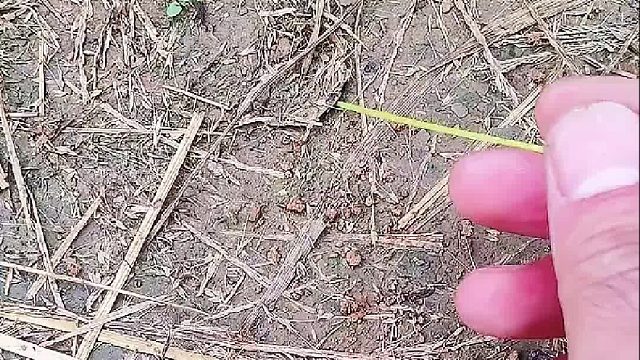 这时候我们儿时的记忆！