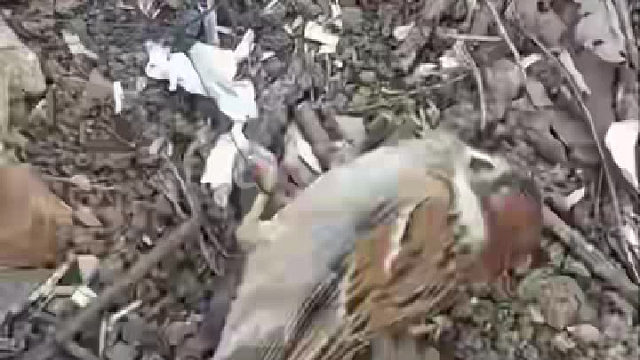 学会一门技术，关键时刻能救命啊