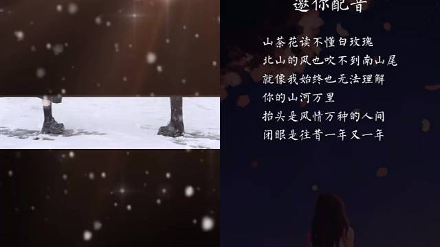 山茶花与白玫瑰提