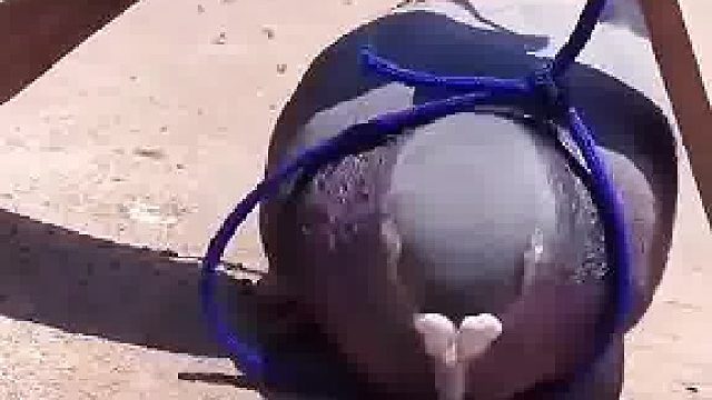 哪里不对吃饱再说