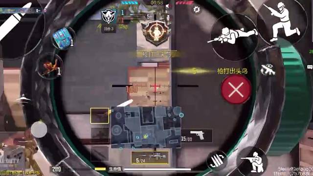 回归第2天的菜狗