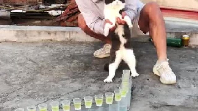 这声音简直也太解压了吧