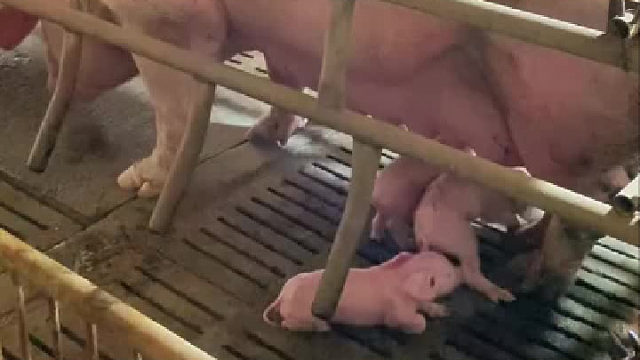 干着最脏的活挣最干净的钱