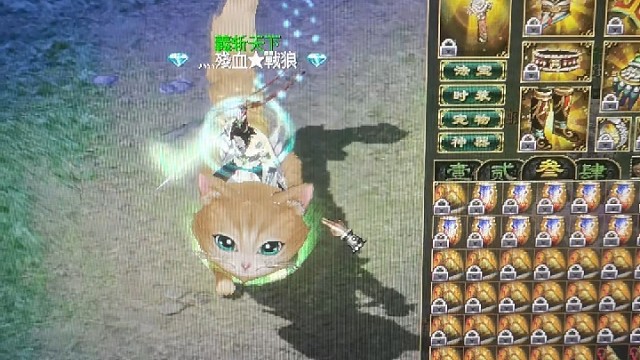 战狼不只是传说