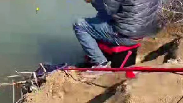 这鱼情，手都拉麻了