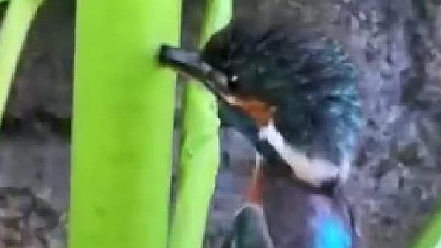 嘴硬是要吃亏的