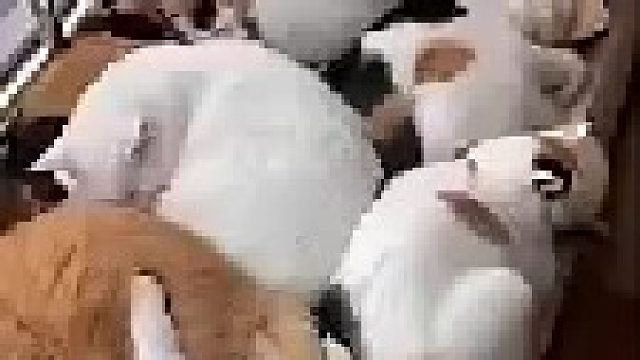 家里有矿的人！！