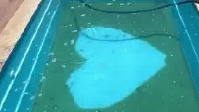 这么洗一下水就干净了？