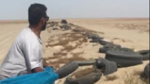 我以为是蜥蜴呢