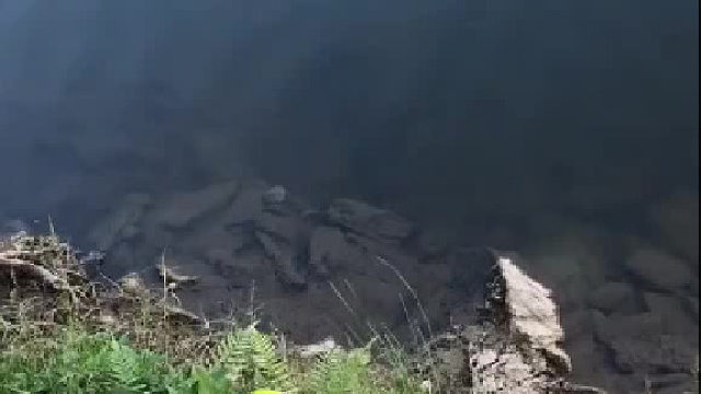 不要靠近陌生水域