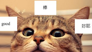 不到最后絕不放棄！
