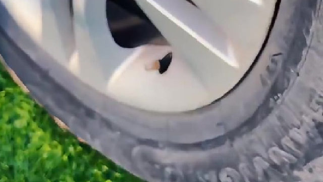 一分钟收你40不贵吧