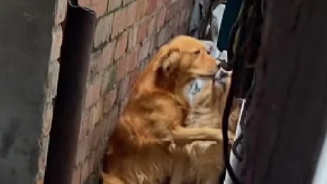 它凭啥咬我？  ​