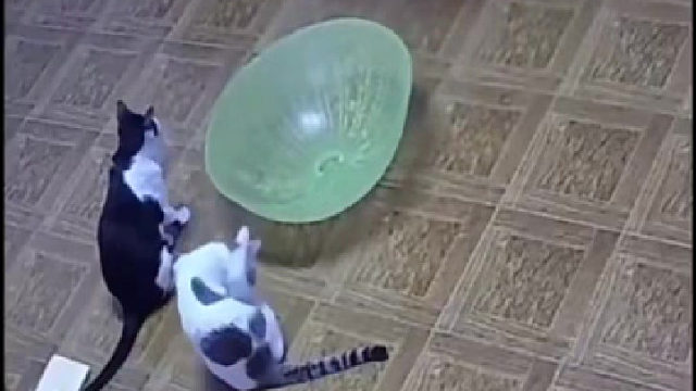 言传身教很重要