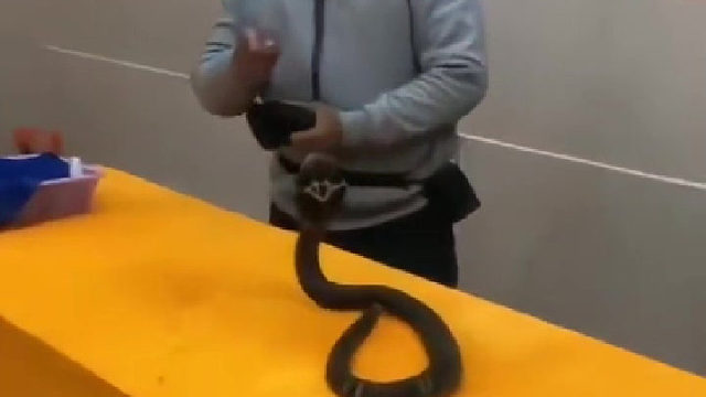 咬上一口会怎么样