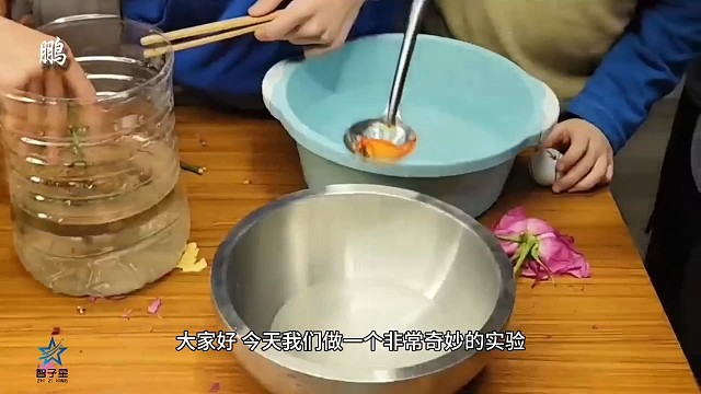 冰冻小鱼复活@鹏博士科学实验