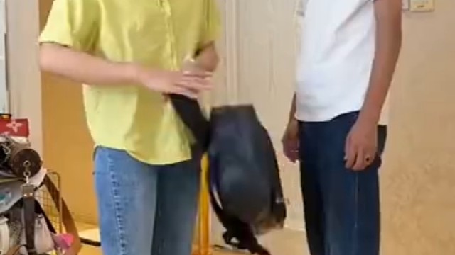 双肩包质量真好！ 啥牌子的？