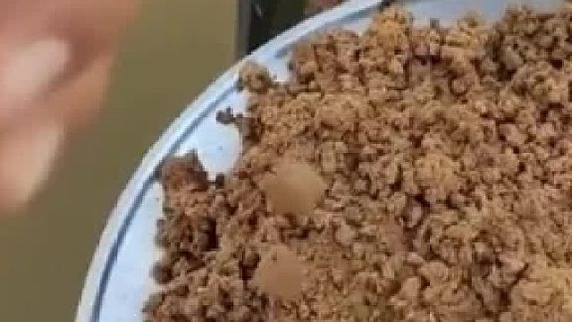 钓鱼太普通啦给大家钓个老鼠助助兴