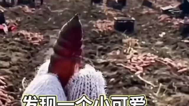 挖小虫出来，你的家乡这个叫啥？