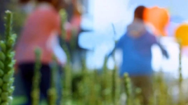 我的女儿不是我的作品