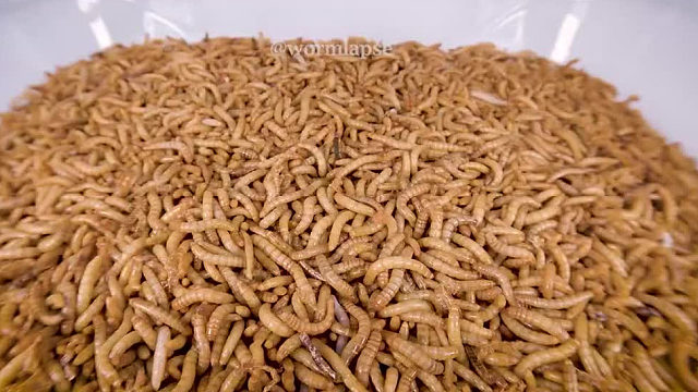 人下去也得完蛋啊