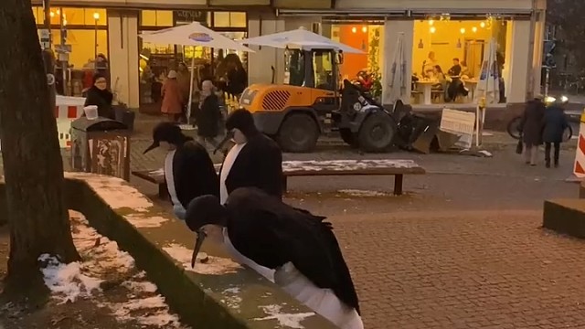 冬令时不发疯更待何时？