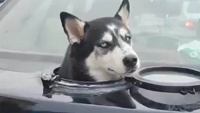 这样改装合法吗