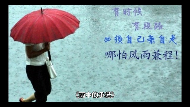 爱情故事系列小说