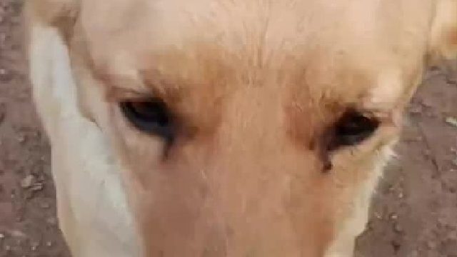 你别说这饭后小菜还不错