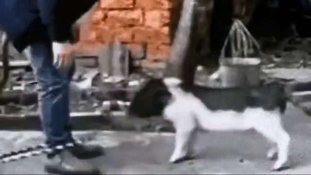 它想说不是那样  你要用嘴