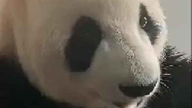 我好怕它突然说一句：你要不要吃？