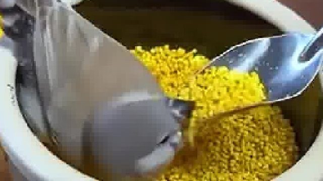 这就是家养和放养的区别