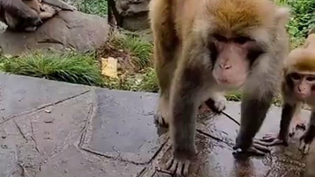 旋瓶盖的动作好帅