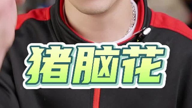 川渝火锅最爱的猪脑花你们知道一份能挣多少钱吗