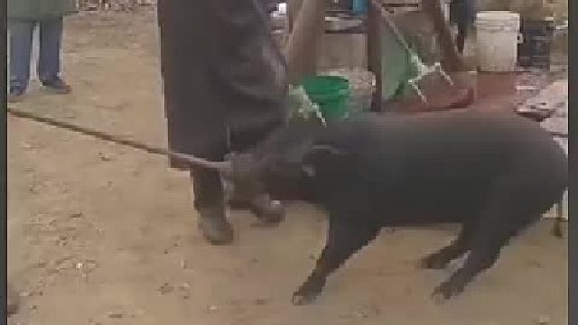 充上电了！更有劲了