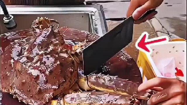 有人说 节肢动物断腿是没有痛感