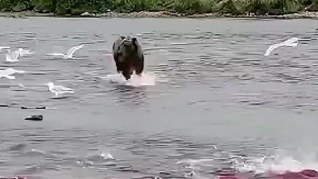 怎么不多捉几条？一条吃得饱吗？