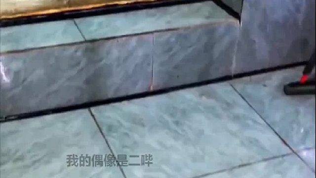 这是什么鱼啊感觉有点子帅啊