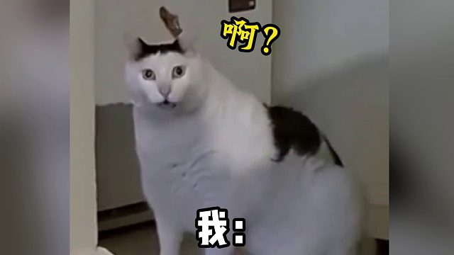 全网就我一个没注意过这个“诱饵战术”的吗？