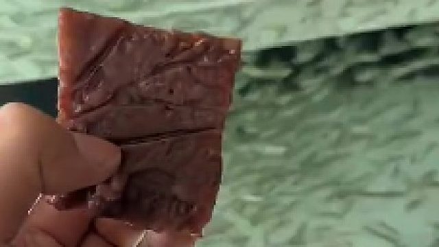 震惊，小鱼出现拥挤踩踏事件