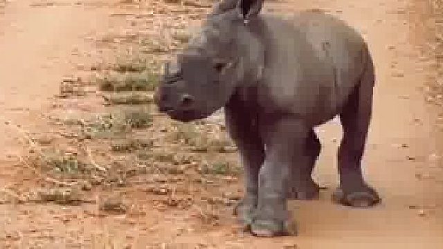 总感觉拖鞋大一号